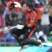 Sunrisers win SA20 title despite Brevis century
