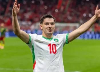 Morocco beat Cameroon to reach Africa Cup of Nations semi-finals