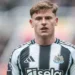 Newcastle’s Barnes set to replace Eze in England squad