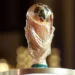 Empty rooms and Fifa cancellations – US hotels fear World Cup washout