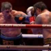 Usyk ref had seen enough to end fight before bell