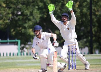 asian games india japan womens cricket qf wicketkeeper appeal