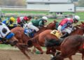 Jockeys and horses racing in a tight pack on the track (Pexels 29530479)