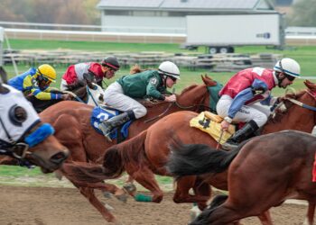 Jockeys and horses racing in a tight pack on the track (Pexels 29530479)