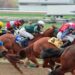 Jockeys and horses racing in a tight pack on the track (Pexels 29530479)