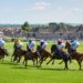 ayr gold cup festival day two bronze cup scottish flat racing bend