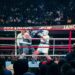 boxing ring referee crowd