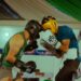 boxing ring sparring