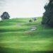 Rolling green golf course fairway with a cart path (Pexels 32401756)
