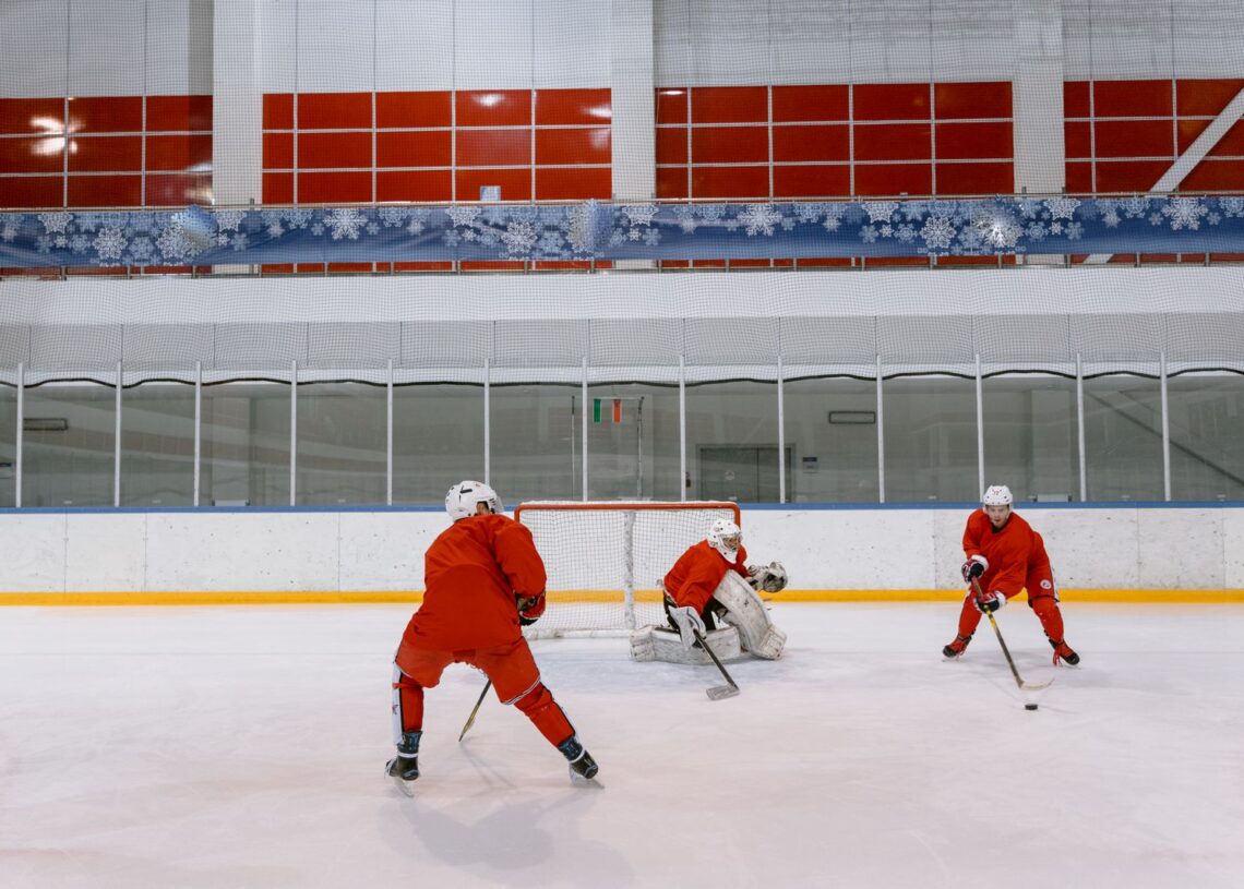 ducks gauthier hockey rink
