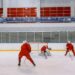 ducks gauthier hockey rink