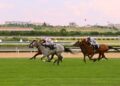 flat racing turf finish 2026