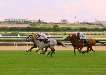 flat racing turf finish 2026
