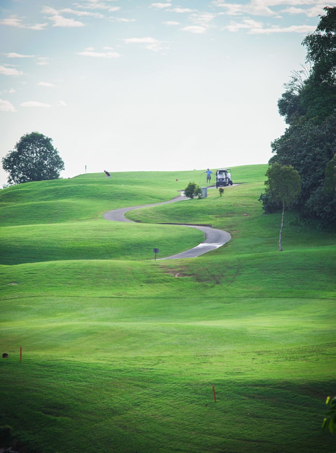 golf course fairway