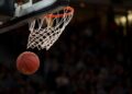heat pelle larsson extension basketball net arena