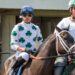 Jockey in green and white silks on a racehorse in the parade ring (Pexels 13154679)