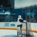Ice hockey goaltender leaning on the net (Pexels 38553661)