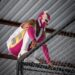 masked wrestler turnbuckle
