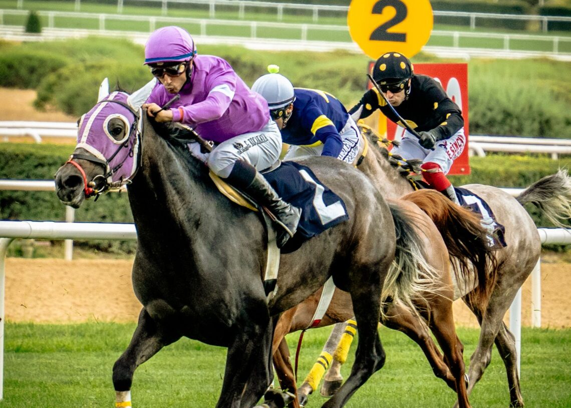 Jockeys racing on the turf at a racetrack (Pexels 27981630)