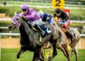 Jockeys racing on the turf at a racetrack (Pexels 27981630)