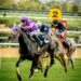Jockeys racing on the turf at a racetrack (Pexels 27981630)