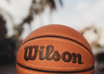 nba basketball silver clippers