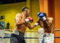 pat brown stops john hedges british commonwealth cruiserweight manchester boxing body shot px28304202