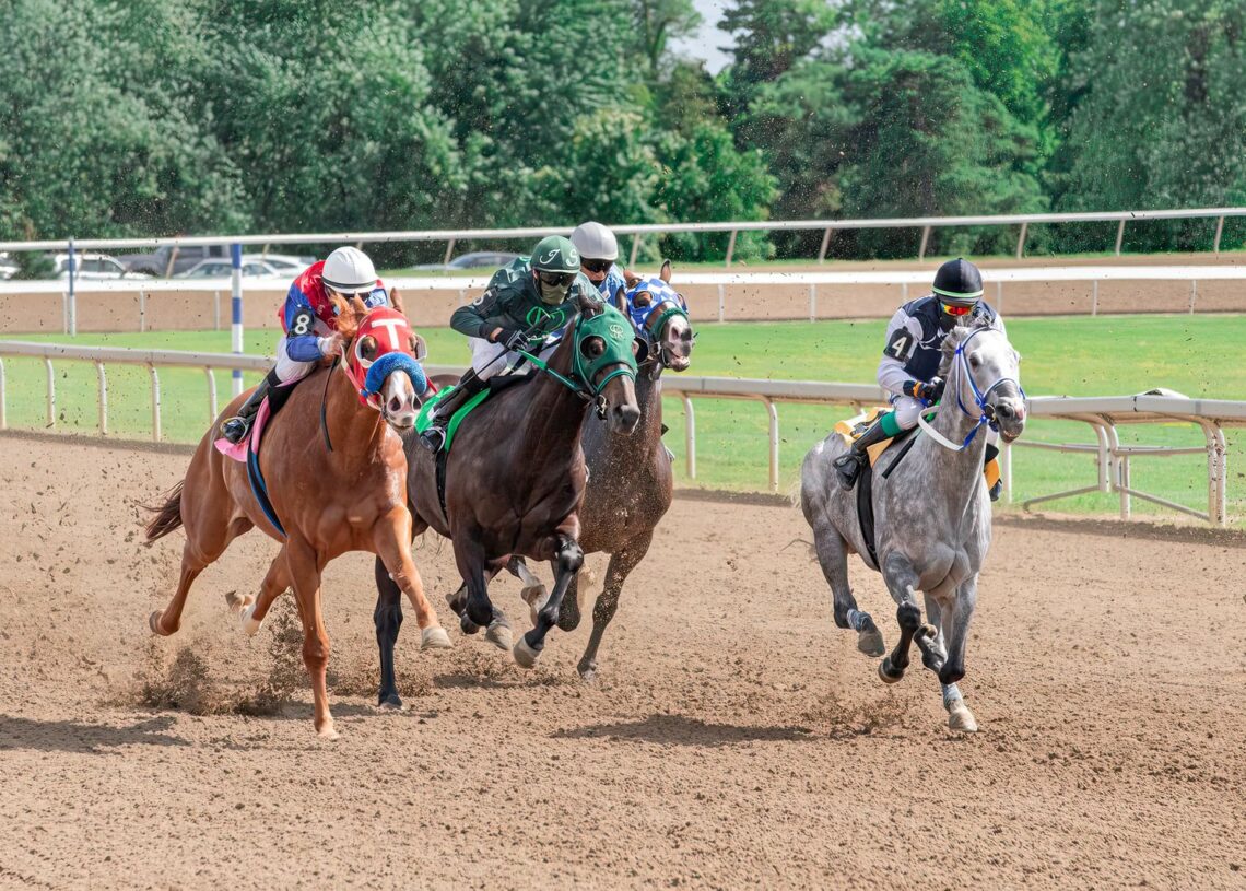 pennsylvania derby 2026 the puma cotillion bodacious bay parx dirt track racing px20742501