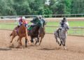 pennsylvania derby 2026 the puma cotillion bodacious bay parx dirt track racing px20742501