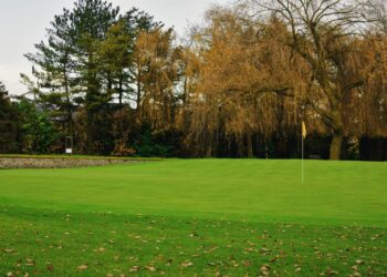 Golf green with a flag in autumn, illustrating Presidents Cup scores