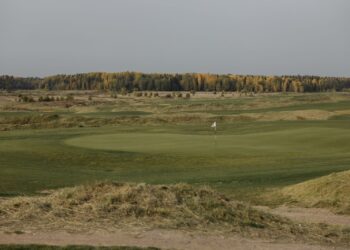 Golf green with a flag in autumn, illustrating Presidents Cup scores from Medinah