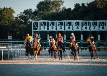 Racehorses bursting from the starting stalls (Pexels 6818590)