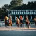 Racehorses bursting from the starting stalls (Pexels 6818590)